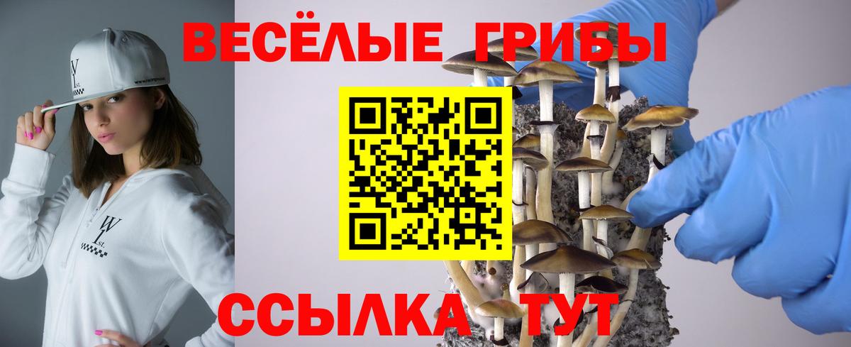 Галлюциногенные грибы ЛСД  наркошоп  Галлюциногенные грибы Cubensis  Фролово  Вход с VPN 